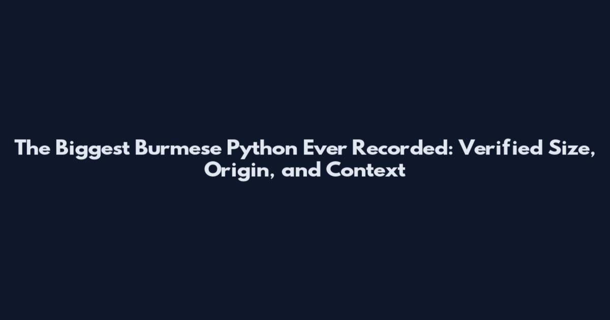 The Biggest Burmese Python Ever Recorded: Verified Size, Origin, and Context