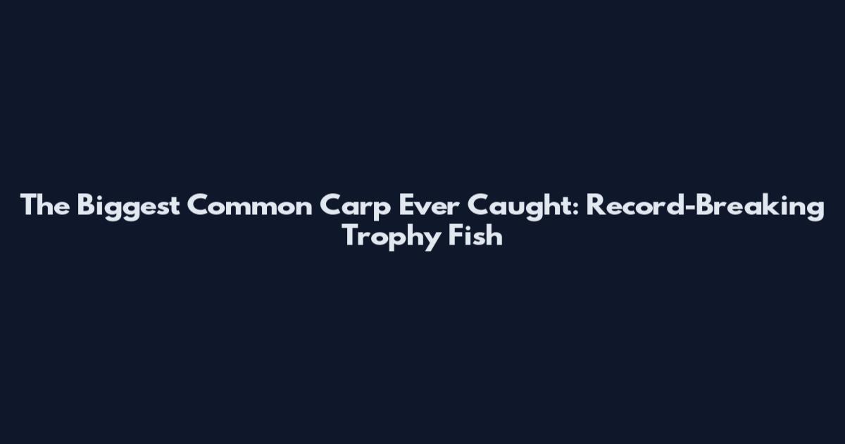 The Biggest Common Carp Ever Caught: Record-Breaking Trophy Fish