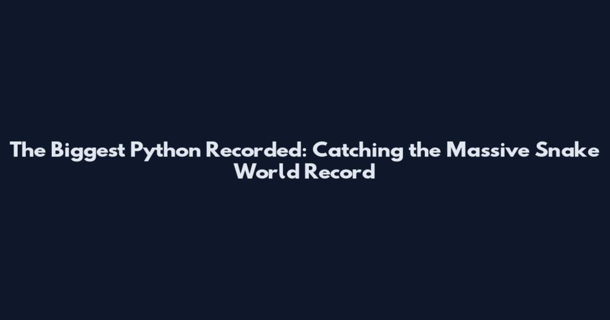The Biggest Python Recorded: Catching the Massive Snake World Record