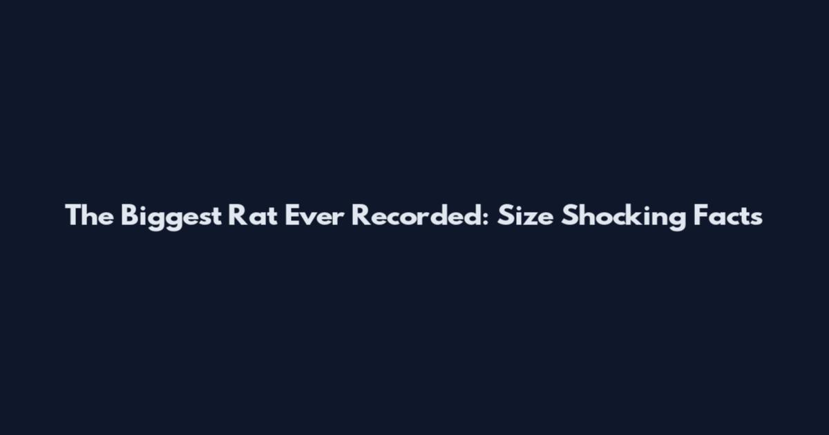 The Biggest Rat Ever Recorded: Size Shocking Facts
