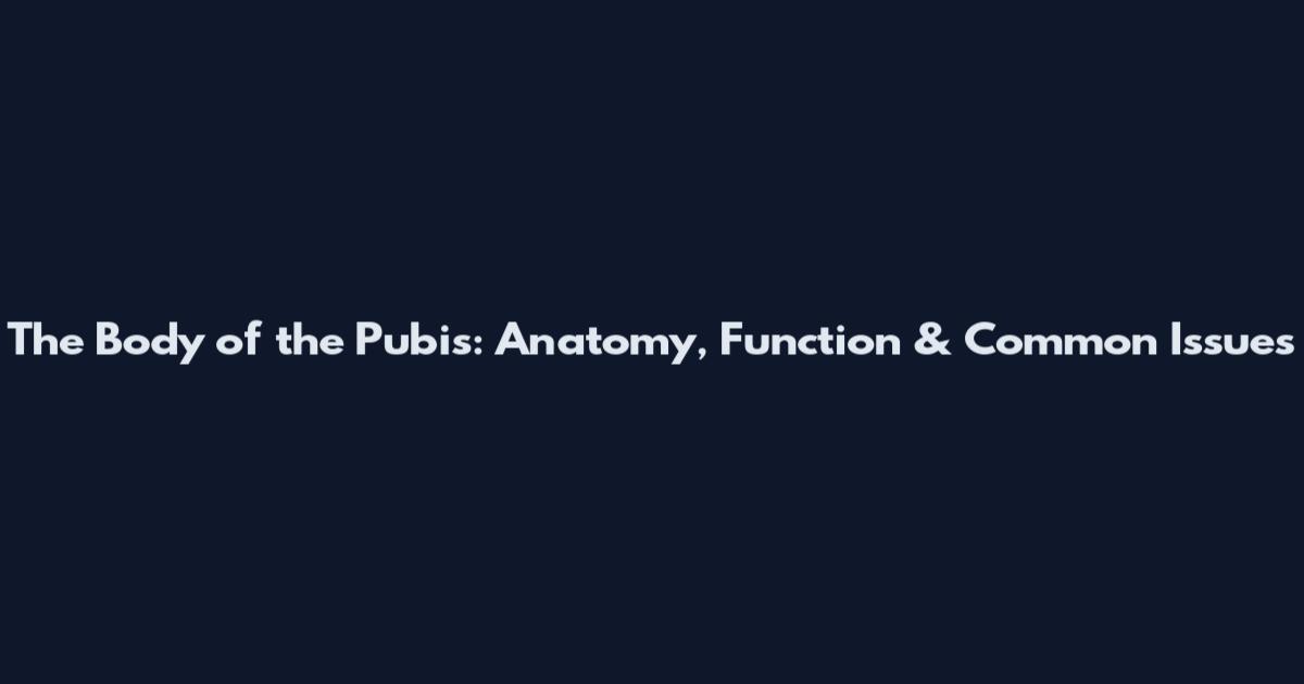 The Body of the Pubis: Anatomy, Function & Common Issues