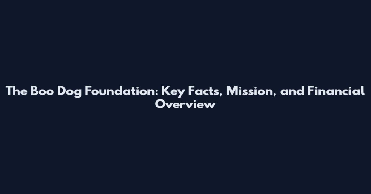 The Boo Dog Foundation: Key Facts, Mission, and Financial Overview
