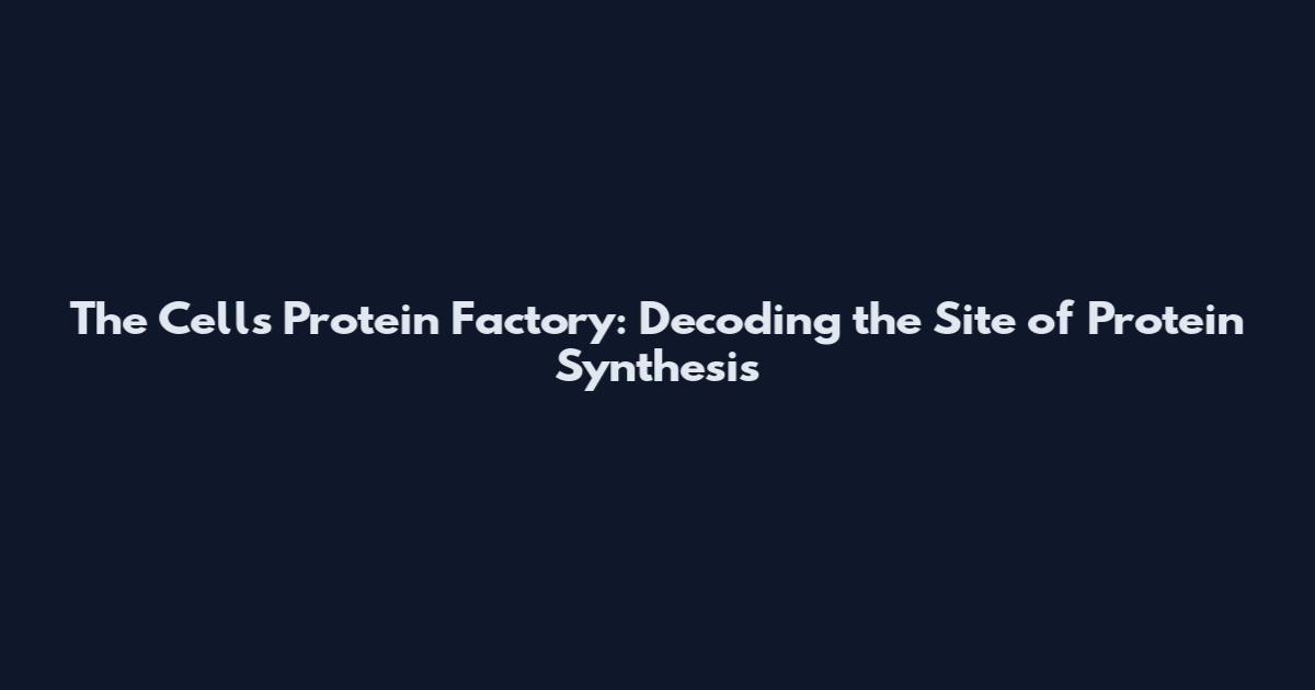 The Cell's Protein Factory: Decoding the Site of Protein Synthesis