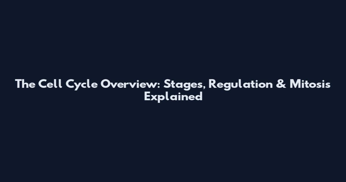 The Cell Cycle Overview: Stages, Regulation & Mitosis Explained