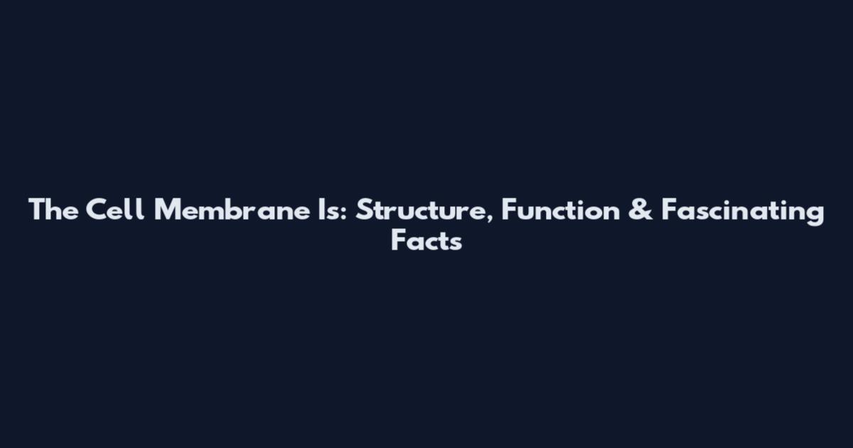 The Cell Membrane Is: Structure, Function & Fascinating Facts