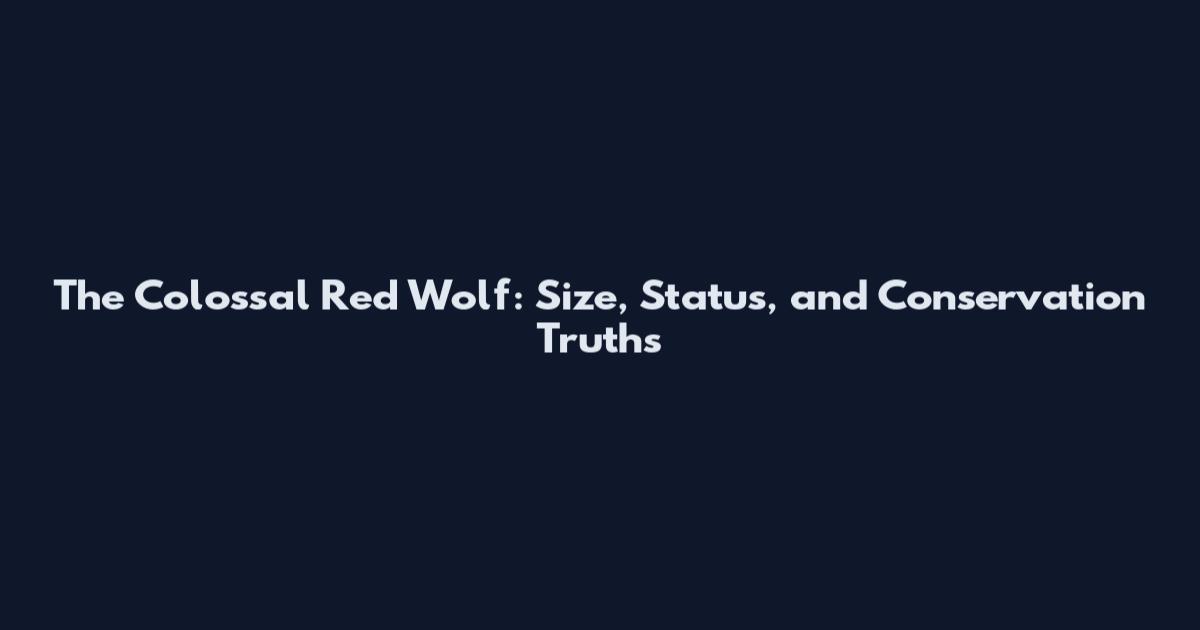 The Colossal Red Wolf: Size, Status, and Conservation Truths