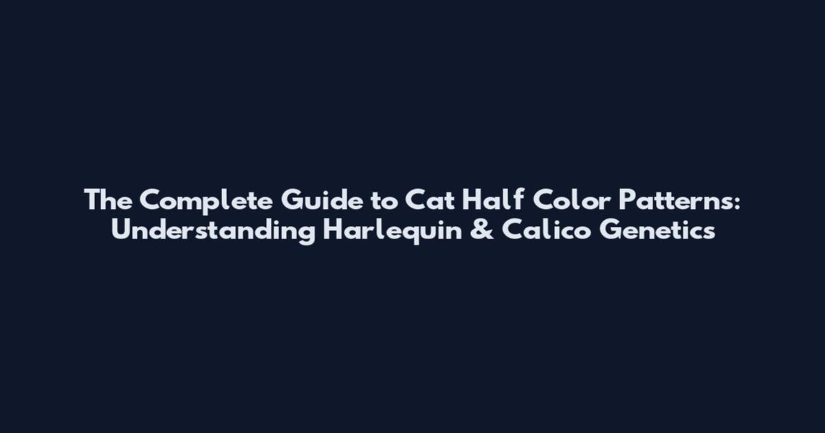 The Complete Guide to Cat Half Color Patterns: Understanding Harlequin & Calico Genetics