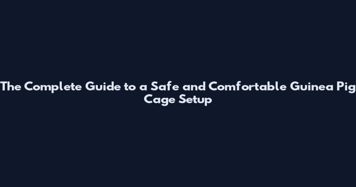 The Complete Guide to a Safe and Comfortable Guinea Pig Cage Setup