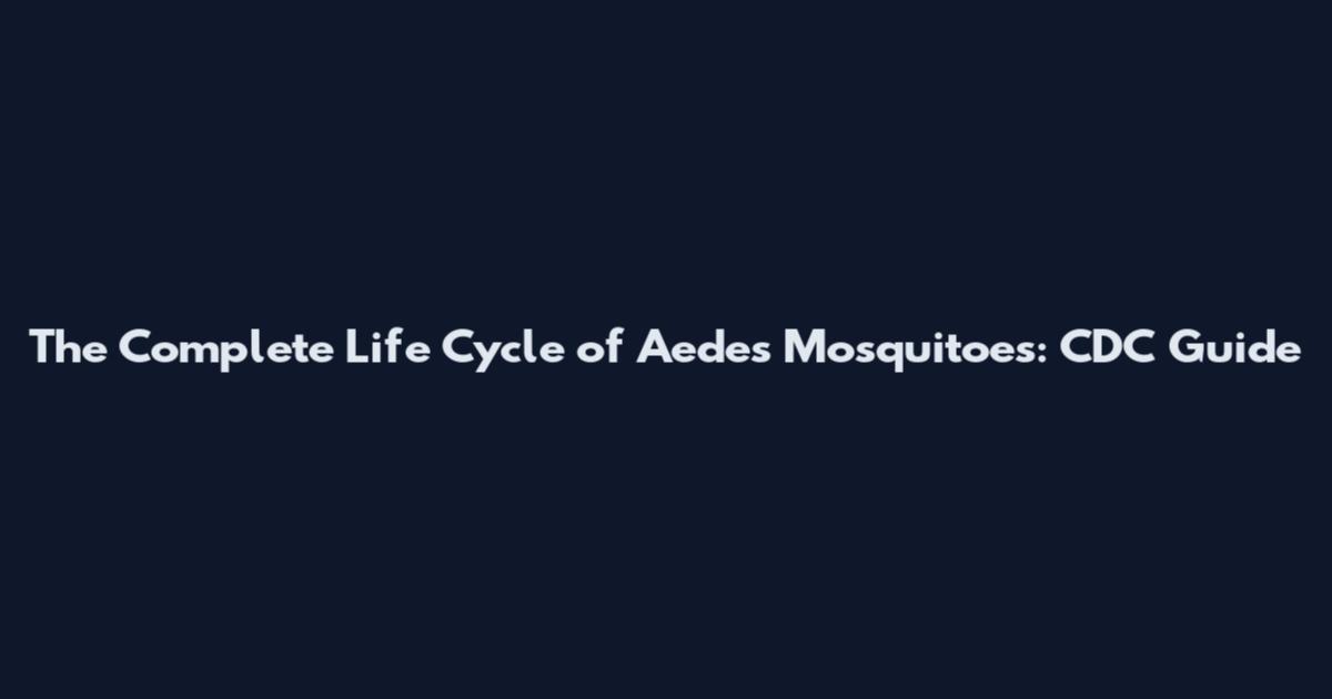The Complete Life Cycle of Aedes Mosquitoes: CDC Guide