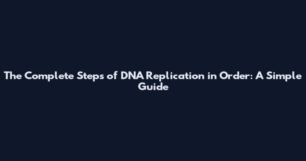 The Complete Steps of DNA Replication in Order: A Simple Guide