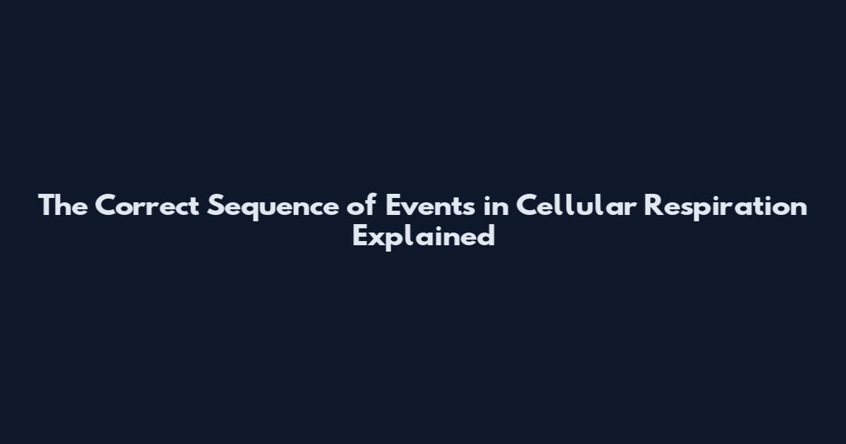 The Correct Sequence of Events in Cellular Respiration Explained