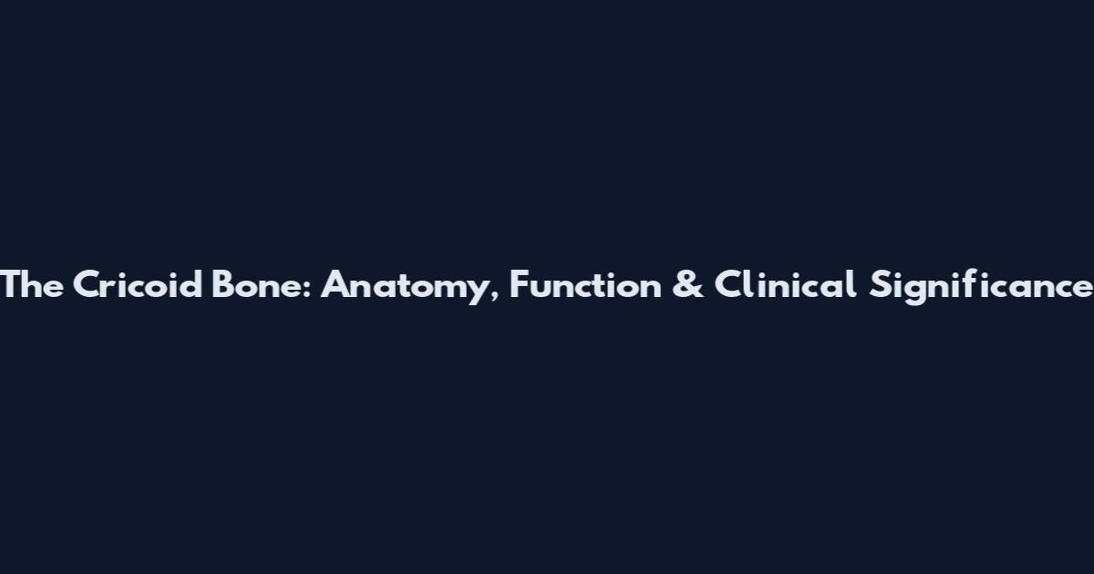 The Cricoid Bone: Anatomy, Function & Clinical Significance