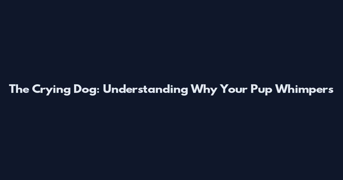 The Crying Dog: Understanding Why Your Pup Whimpers