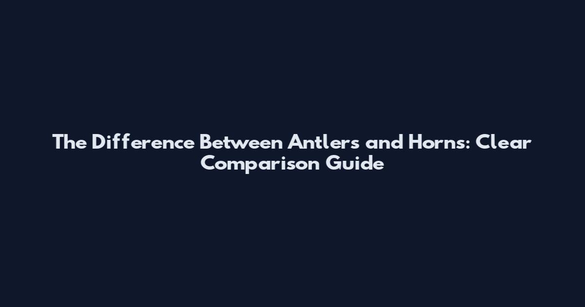 The Difference Between Antlers and Horns: Clear Comparison Guide
