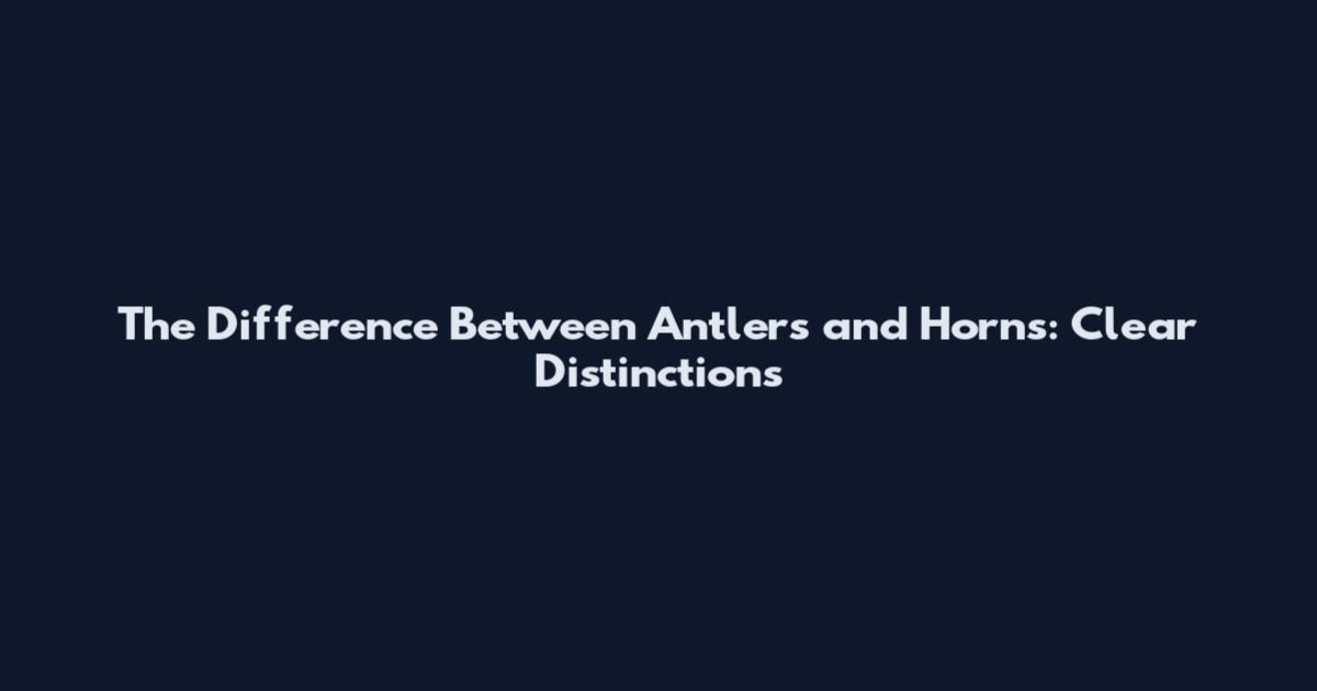 The Difference Between Antlers and Horns: Clear Distinctions