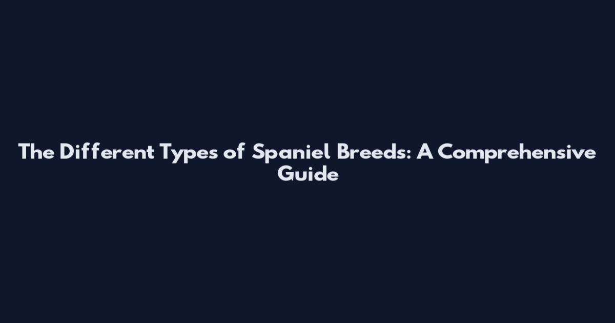 The Different Types of Spaniel Breeds: A Comprehensive Guide