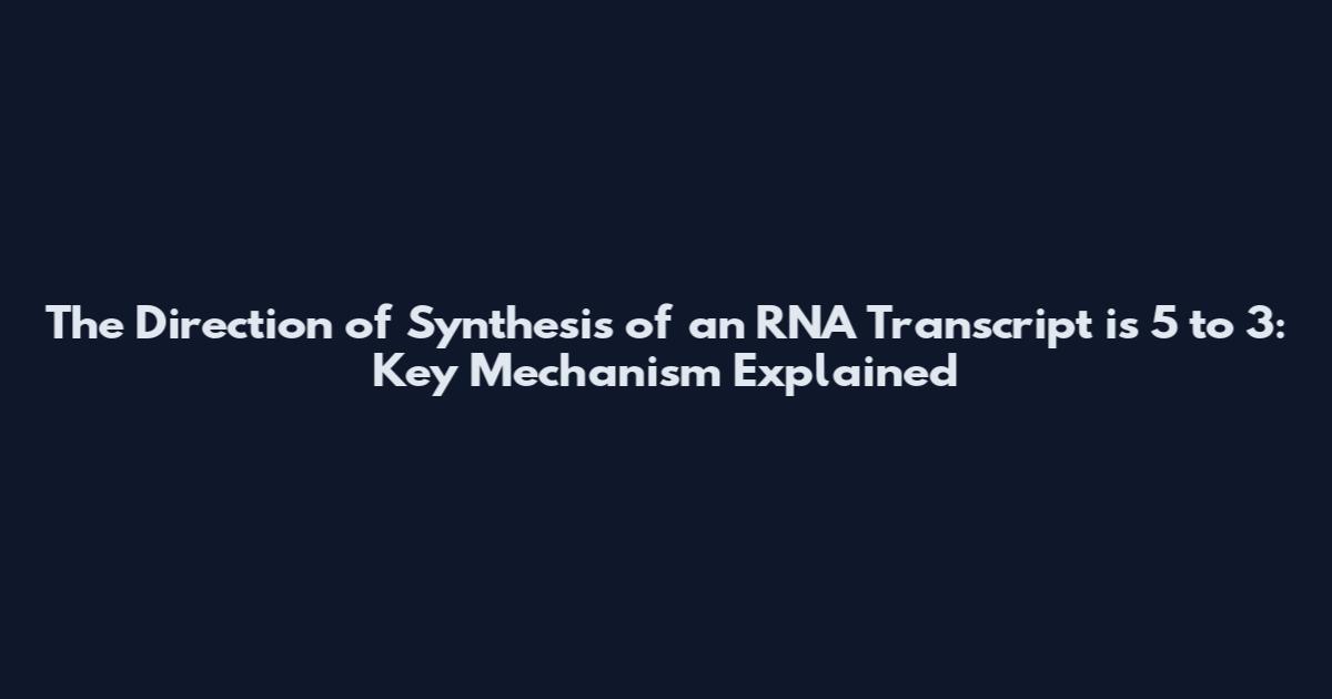 The Direction of Synthesis of an RNA Transcript is 5' to 3': Key Mechanism Explained