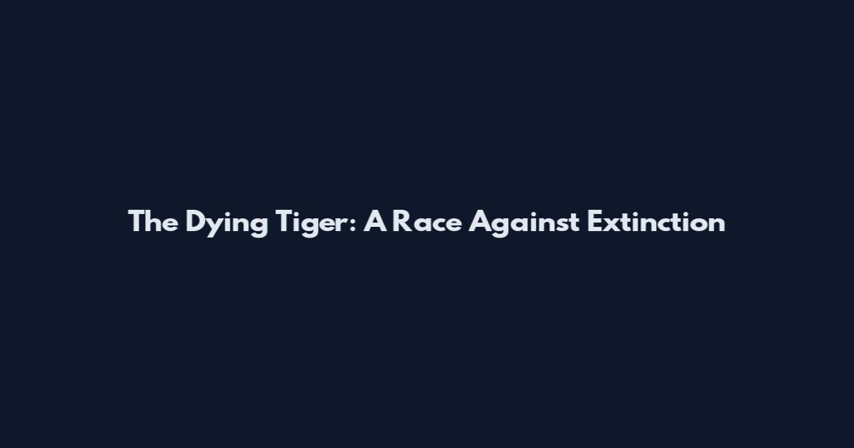The Dying Tiger: A Race Against Extinction
