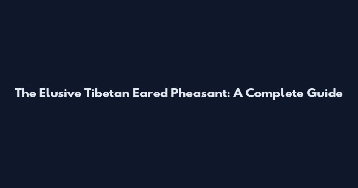 The Elusive Tibetan Eared Pheasant: A Complete Guide