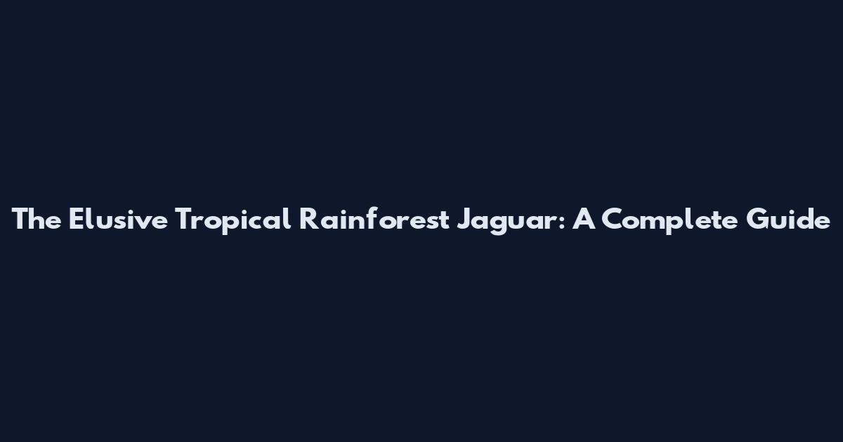 The Elusive Tropical Rainforest Jaguar: A Complete Guide
