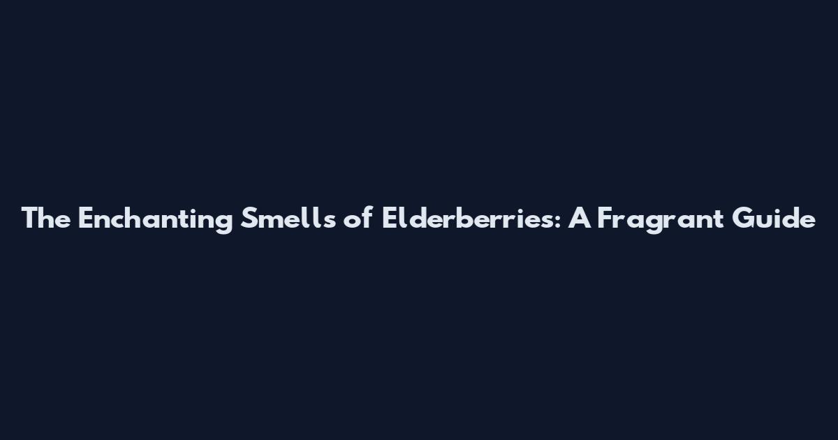 The Enchanting Smells of Elderberries: A Fragrant Guide