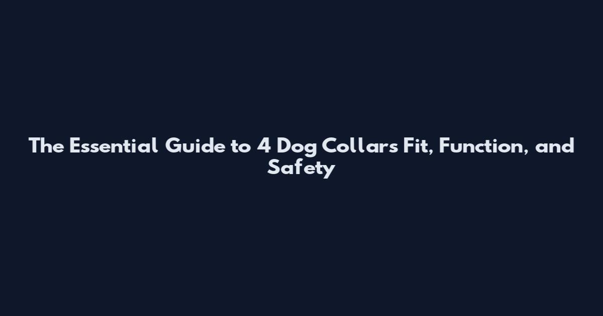 The Essential Guide to 4 Dog Collars Fit, Function, and Safety