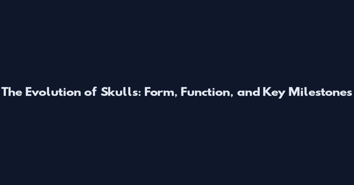 The Evolution of Skulls: Form, Function, and Key Milestones