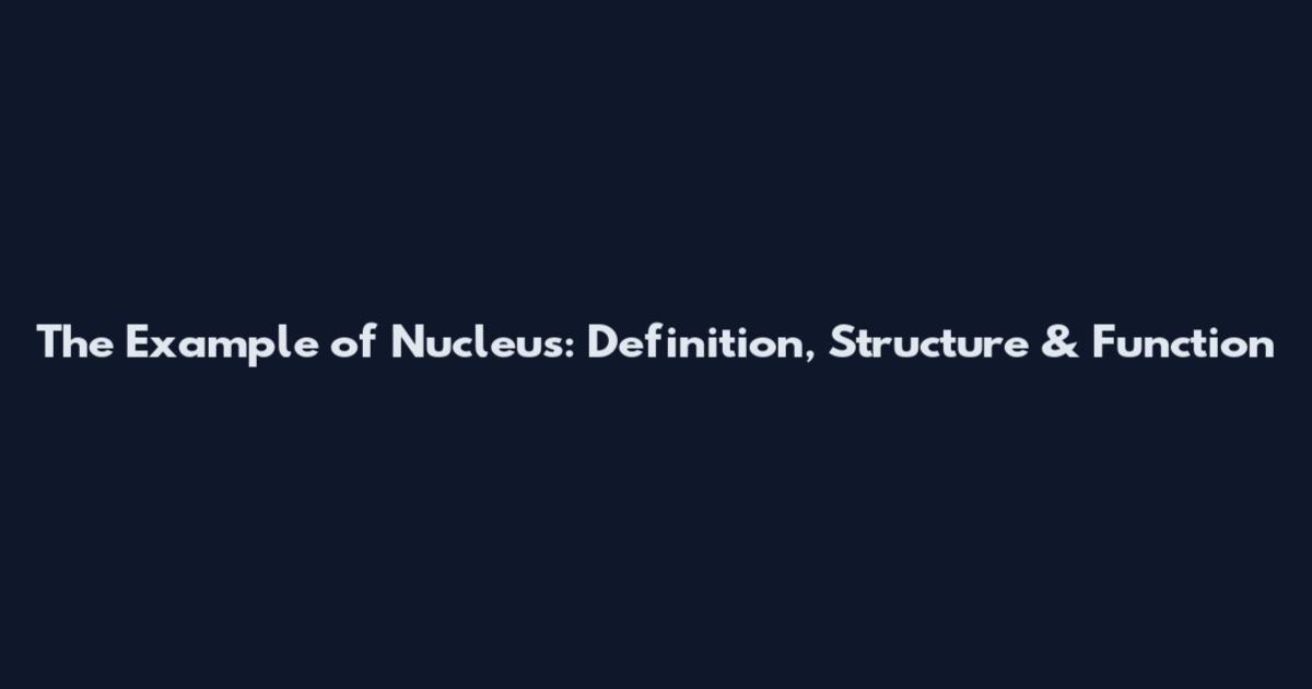 The Example of Nucleus: Definition, Structure & Function