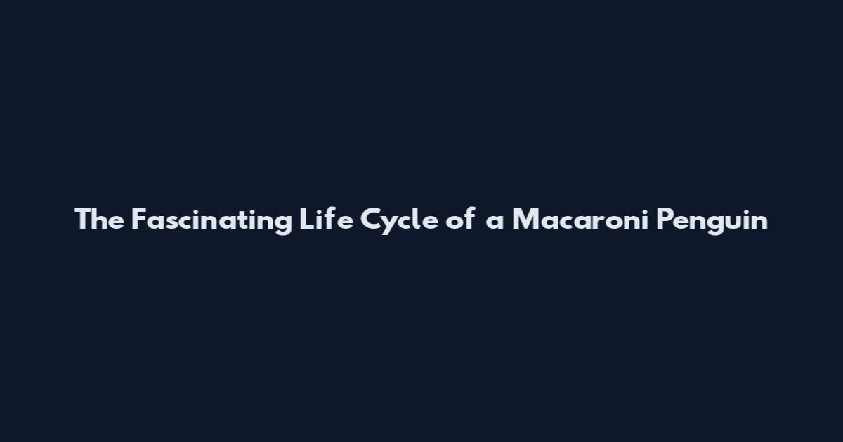 The Fascinating Life Cycle of a Macaroni Penguin