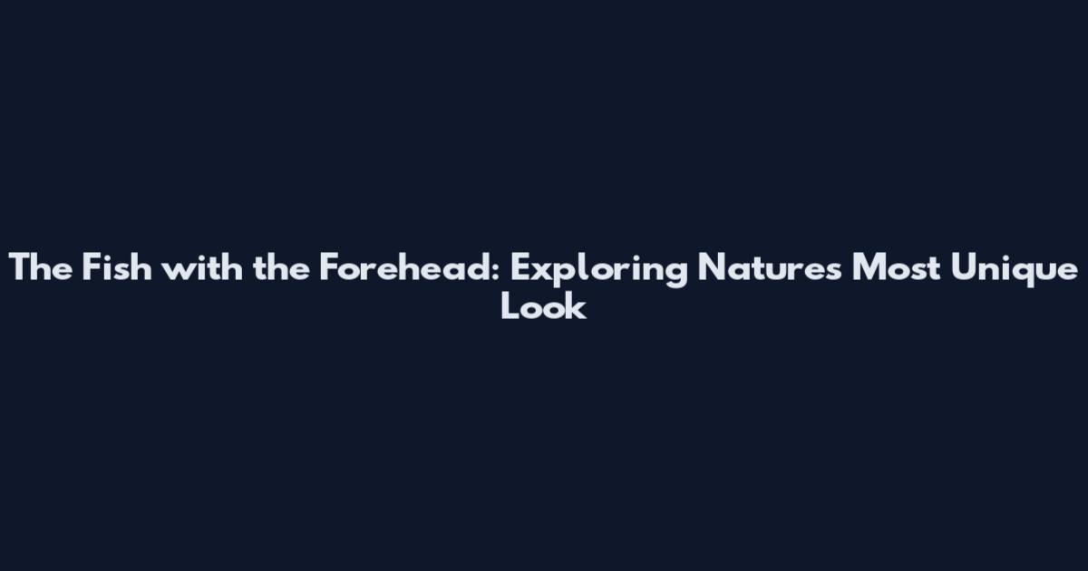 The Fish with the Forehead: Exploring Nature's Most Unique Look