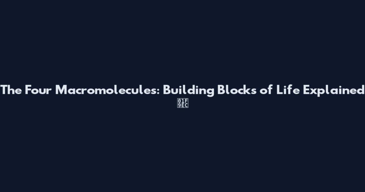 The Four Macromolecules: Building Blocks of Life Explained 🧬