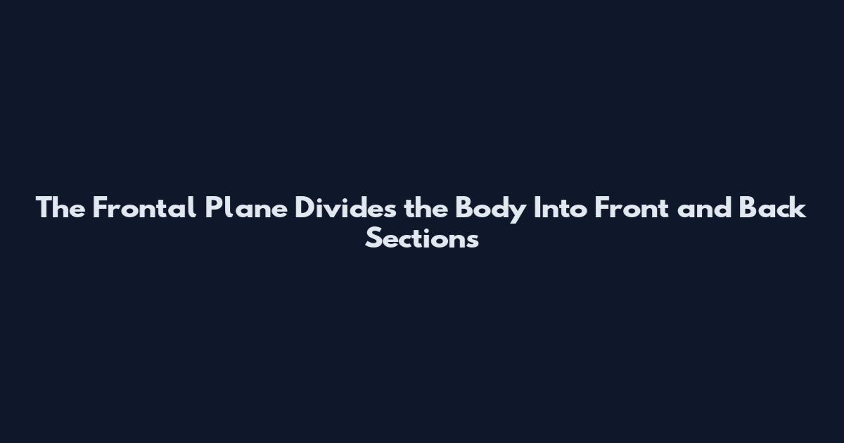 The Frontal Plane Divides the Body Into Front and Back Sections