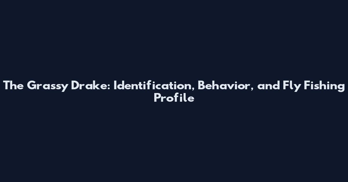 The Grassy Drake: Identification, Behavior, and Fly Fishing Profile