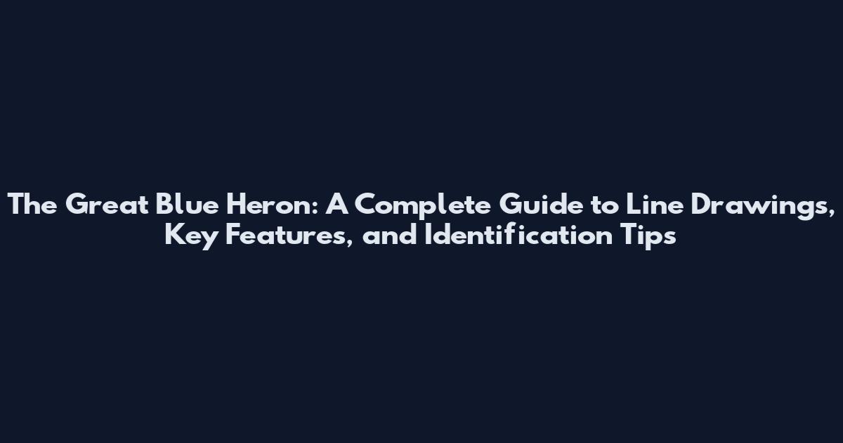 The Great Blue Heron: A Complete Guide to Line Drawings, Key Features, and Identification Tips