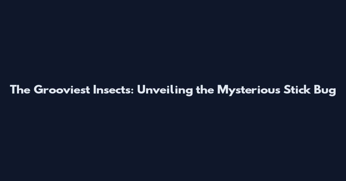 The Grooviest Insects: Unveiling the Mysterious Stick Bug