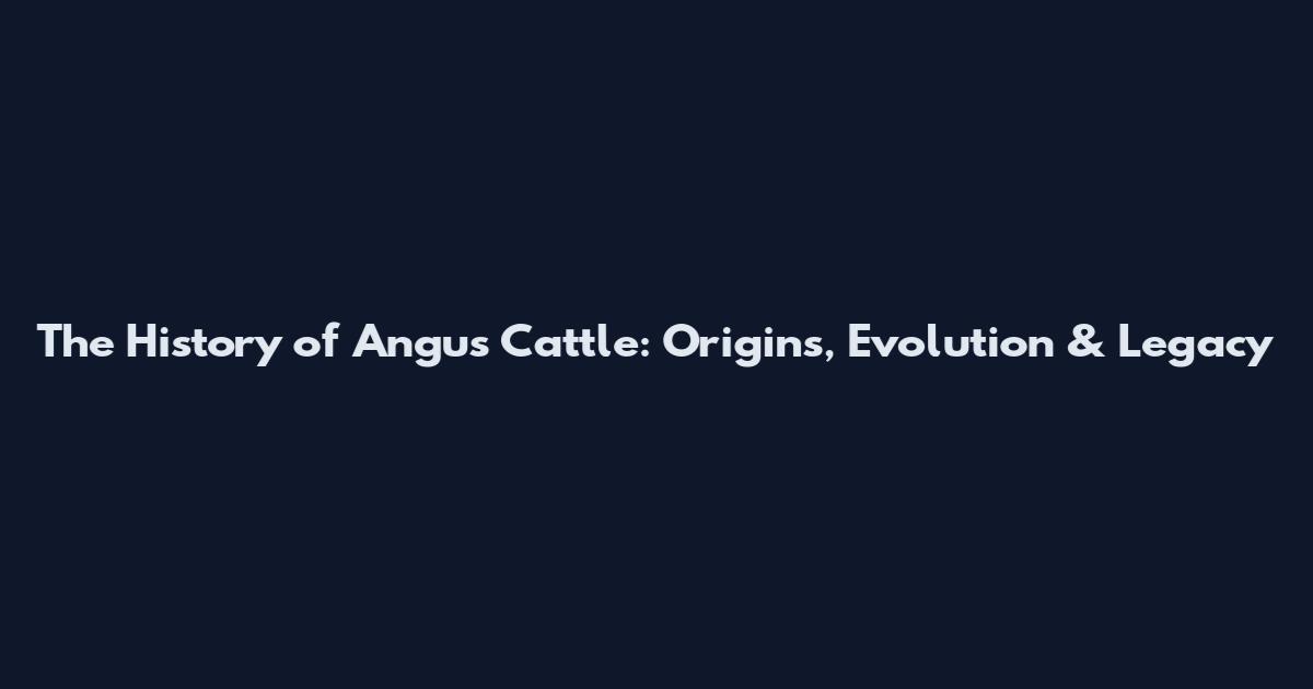 The History of Angus Cattle: Origins, Evolution & Legacy