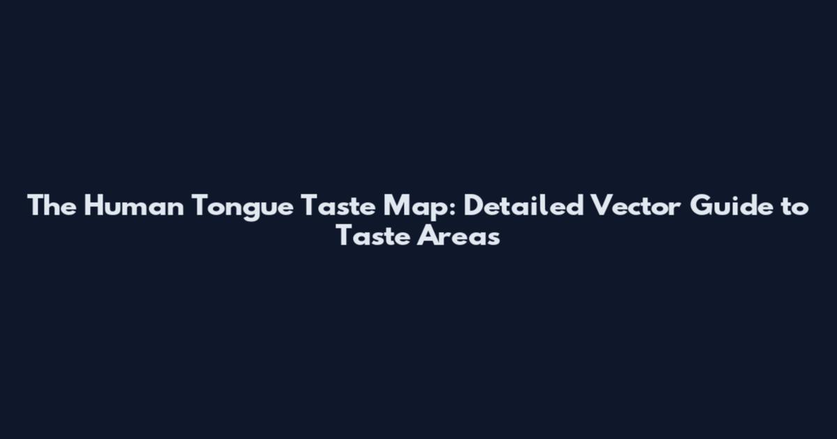 The Human Tongue Taste Map: Detailed Vector Guide to Taste Areas