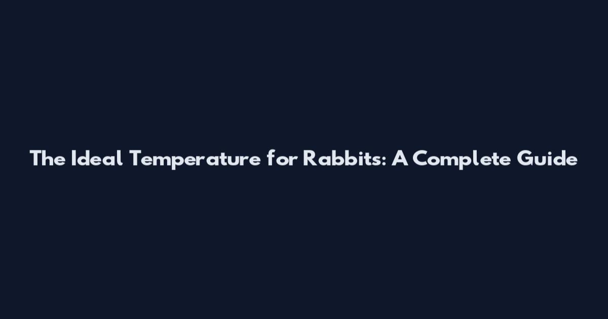 The Ideal Temperature for Rabbits: A Complete Guide
