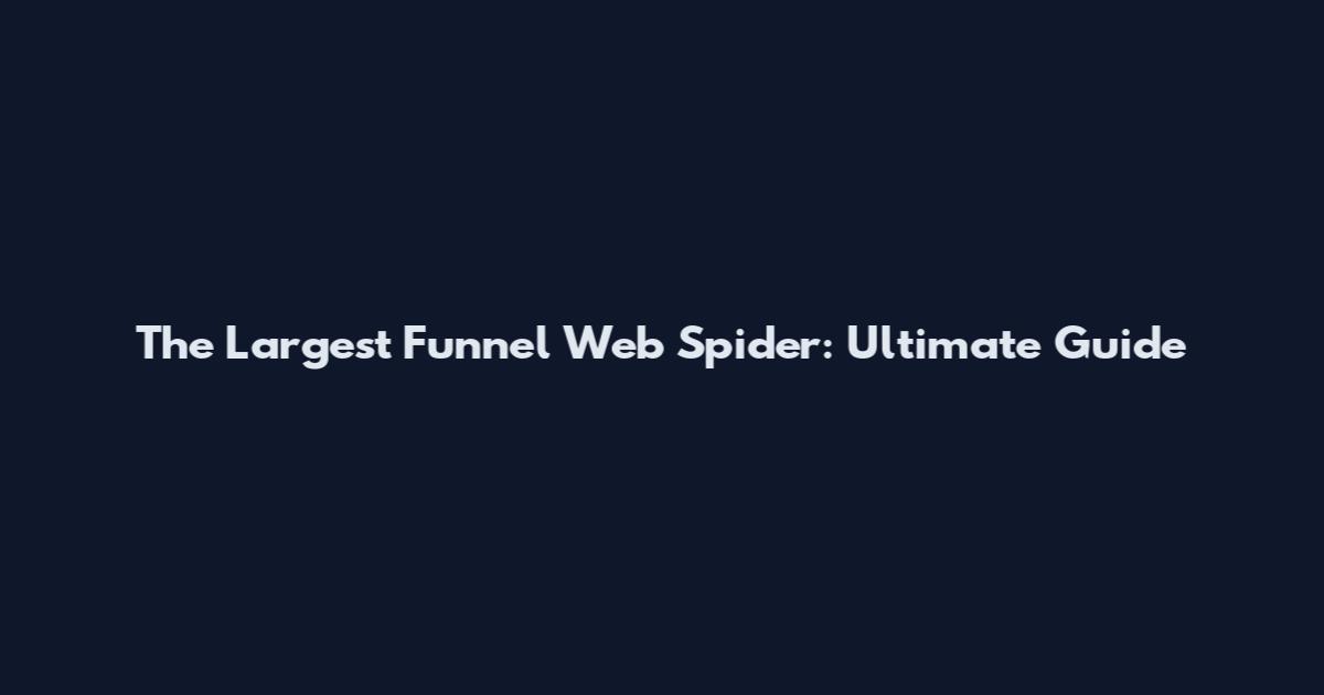 The Largest Funnel Web Spider: Ultimate Guide