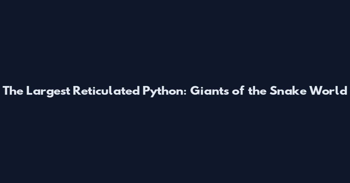 The Largest Reticulated Python: Giants of the Snake World