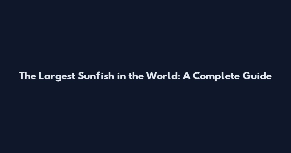 The Largest Sunfish in the World: A Complete Guide