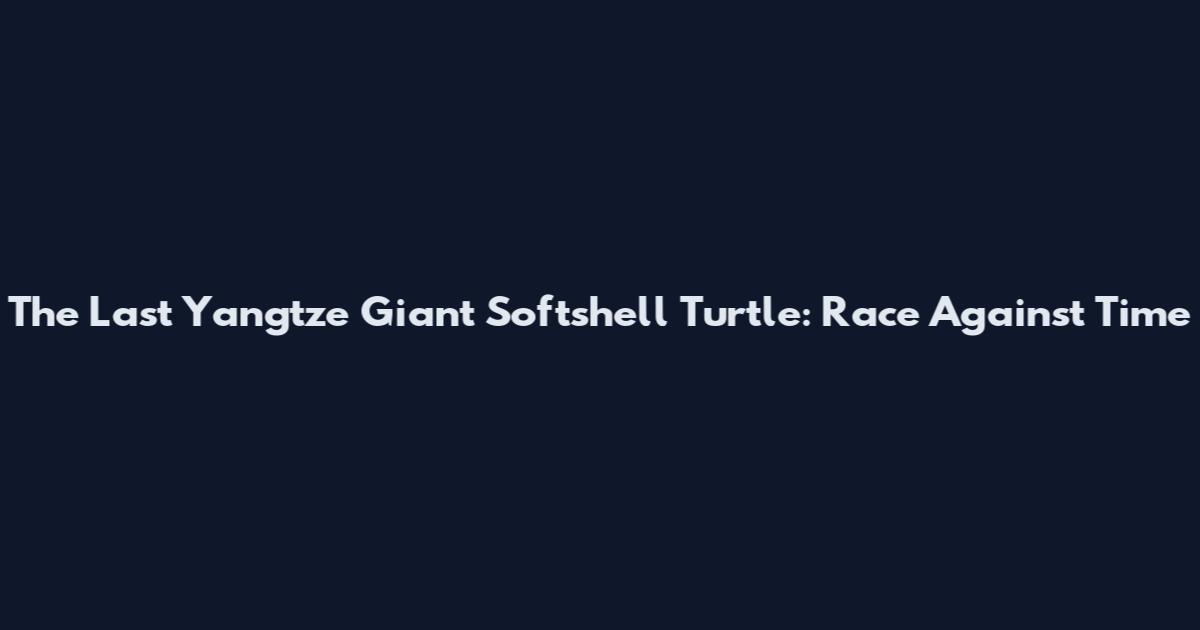 The Last Yangtze Giant Softshell Turtle: Race Against Time