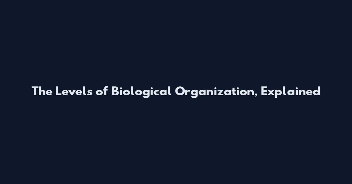 The Levels of Biological Organization, Explained
