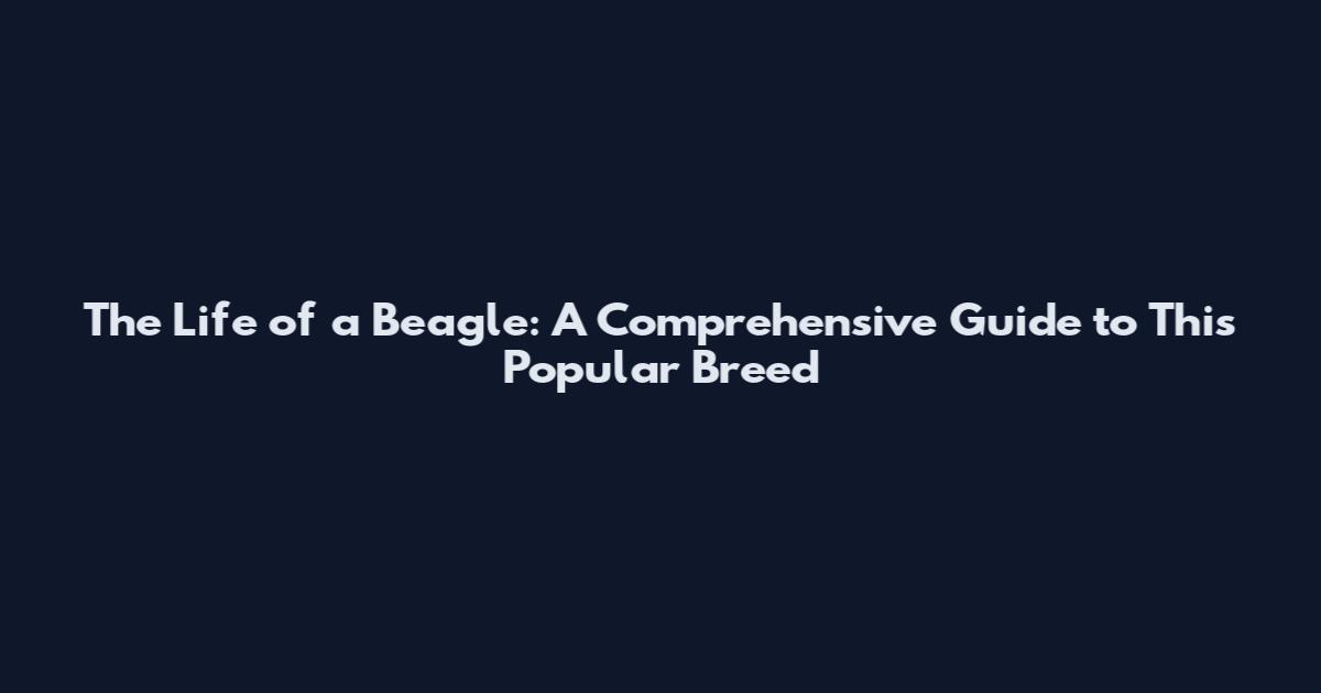 The Life of a Beagle: A Comprehensive Guide to This Popular Breed