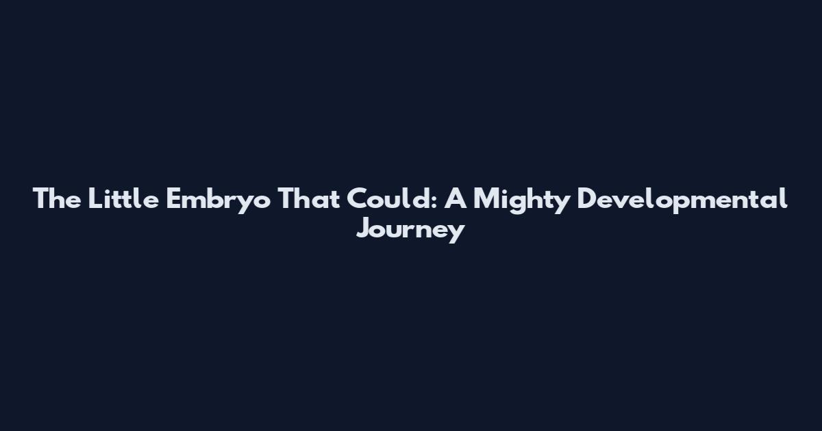 The Little Embryo That Could: A Mighty Developmental Journey