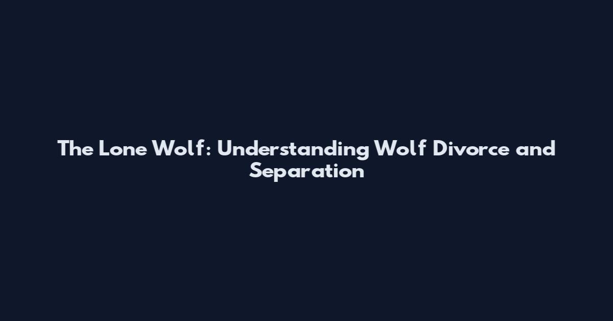 The Lone Wolf: Understanding Wolf Divorce and Separation