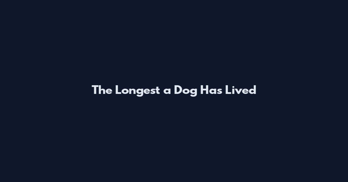 The Longest a Dog Has Lived