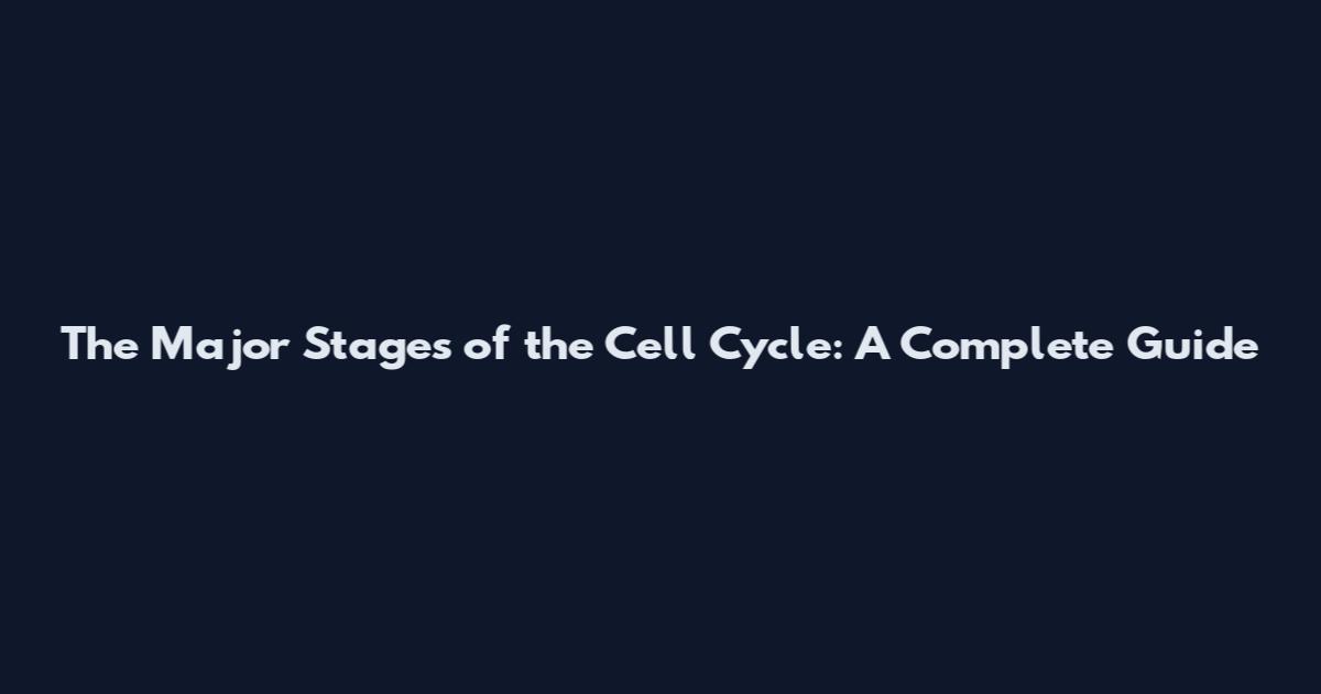 The Major Stages of the Cell Cycle: A Complete Guide
