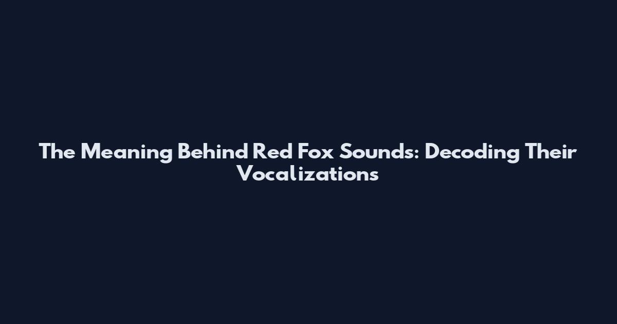The Meaning Behind Red Fox Sounds: Decoding Their Vocalizations