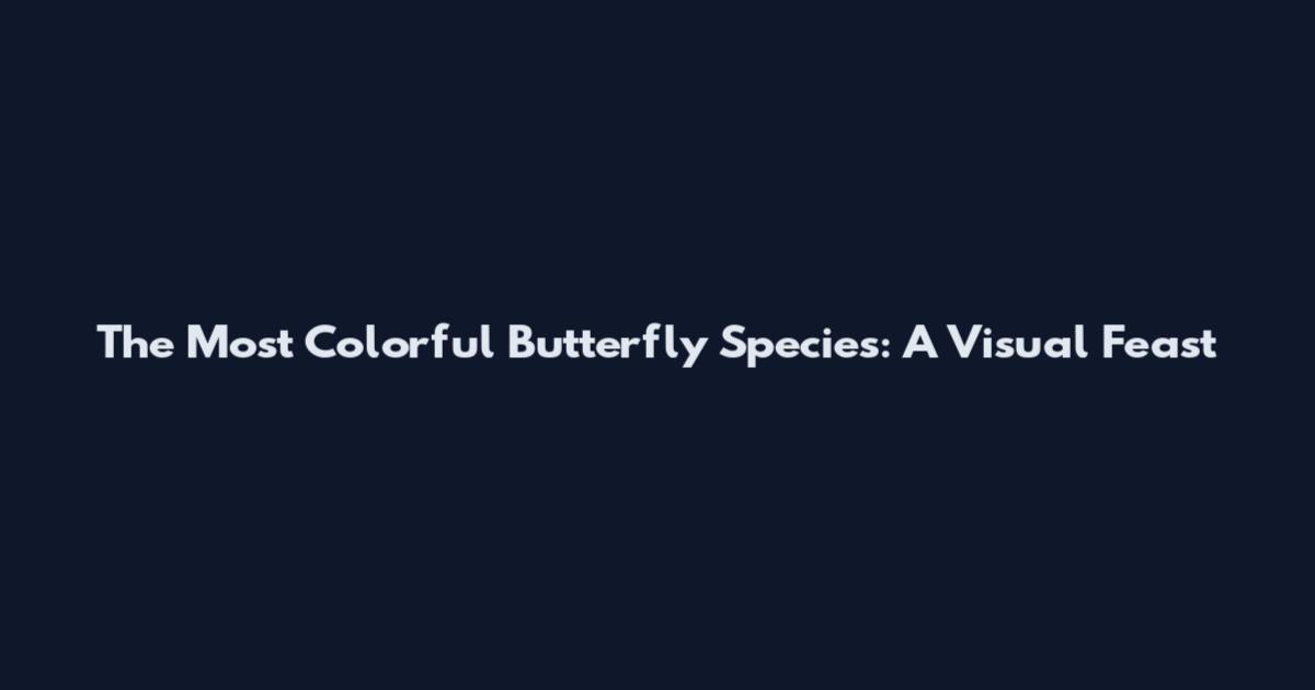 The Most Colorful Butterfly Species: A Visual Feast